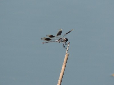 DSCN4818.JPG