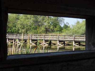 DSCN4830.JPG
