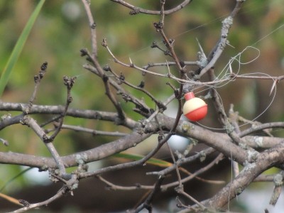 A bobber bird.