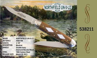 538211-dd-ivory18.png