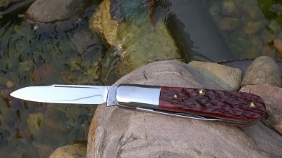 WP_20180821_023.jpg