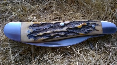 WP_20180818_026.jpg
