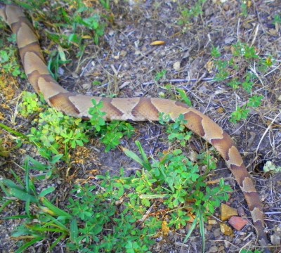 SANY0002.JPG