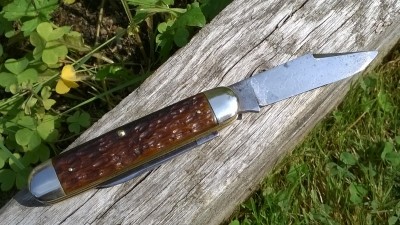 WP_20180823_086.jpg