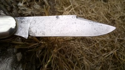 WP_20180823_063.jpg