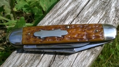 WP_20180823_090.jpg