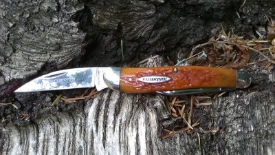 WP_20180825_022.jpg