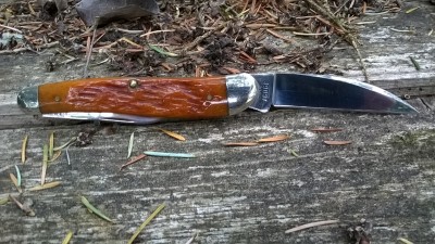 WP_20180825_048.jpg