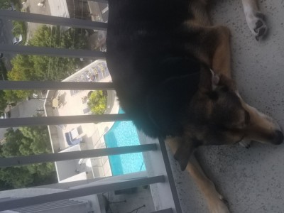 20180826_163606.jpg