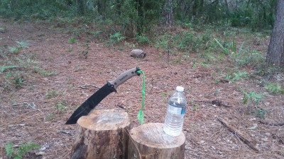 20180901_141754.jpg