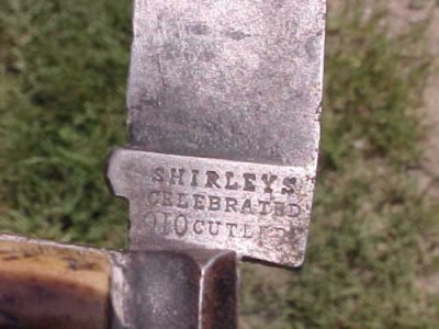 Shirley 9.jpg