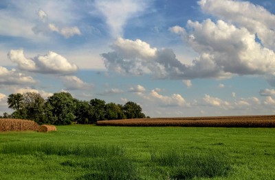 20180902_202906.jpg