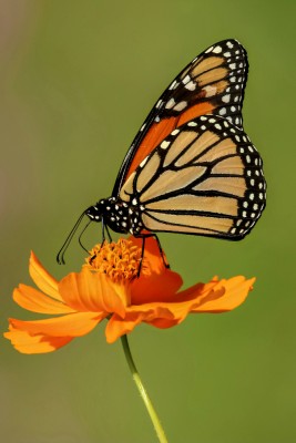 20180903_201427.jpg