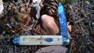 WP_20180904_108.jpg
