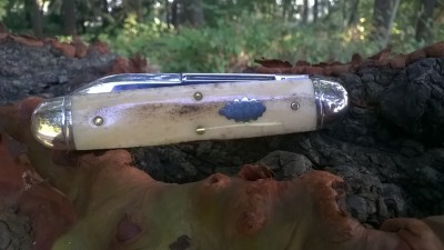 WP_20180904_052.jpg