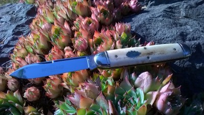 WP_20180906_019.jpg