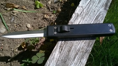 WP_20180831_083.jpg