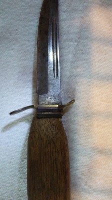 elk6.jpg