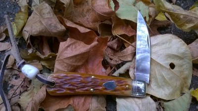 WP_20180907_118.jpg