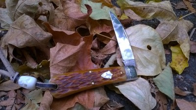 WP_20180907_126.jpg