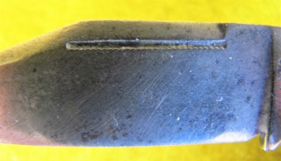 IMG_0004.JPG