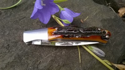 WP_20180907_030.jpg