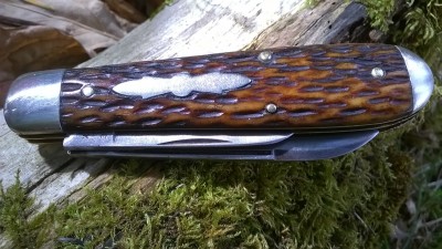 WP_20180911_045.jpg