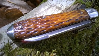 WP_20180911_060.jpg