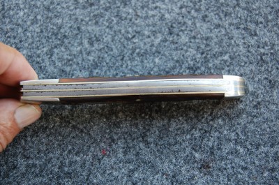 DSC_1972.JPG