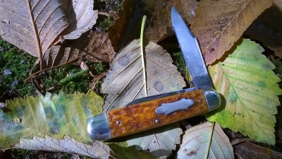 WP_20180914_015.jpg