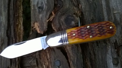 WP_20180914_084.jpg