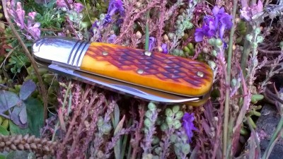 WP_20180911_006.jpg