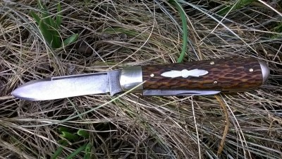 WP_20180914_061.jpg