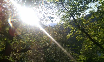 IMG_20180922_181120.jpg
