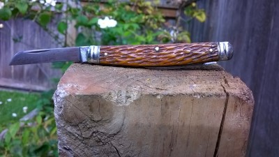 WP_20180926_011.jpg