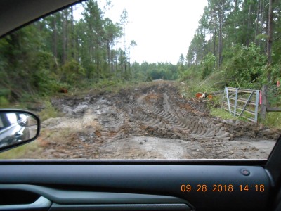 view from the hard road
