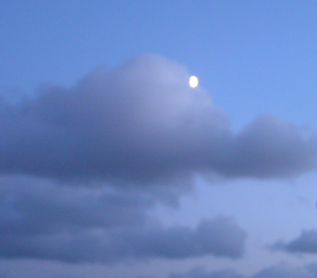 PICT0002.JPG