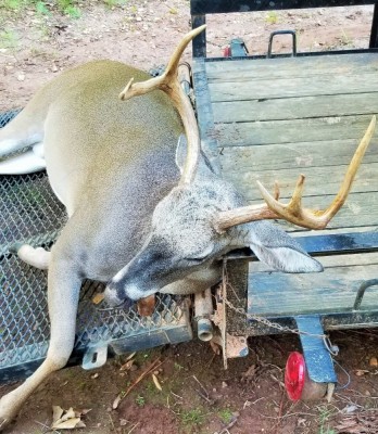 175 lb. 7 Point (3).jpg