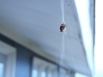 DSCN3416.JPG