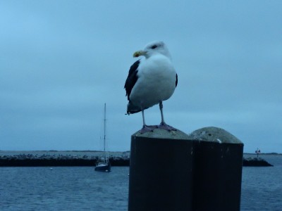 DSCN3403.JPG