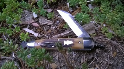 WP_20181008_026.jpg