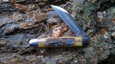WP_20181008_004.jpg