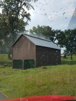 20181009_084411.jpg