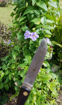 20181010_134607.jpg