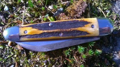 WP_20181010_065.jpg