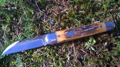 WP_20181010_074.jpg