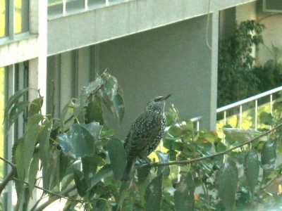 IMG_0039.JPG