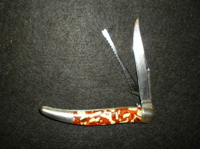 SANY0008.JPG