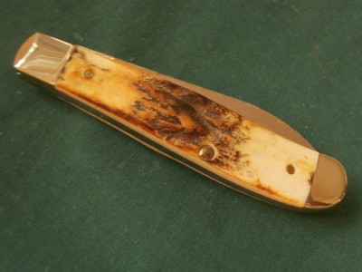 PA110004.JPG