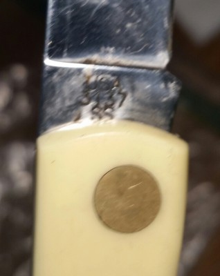 20181013_174505-1.jpg